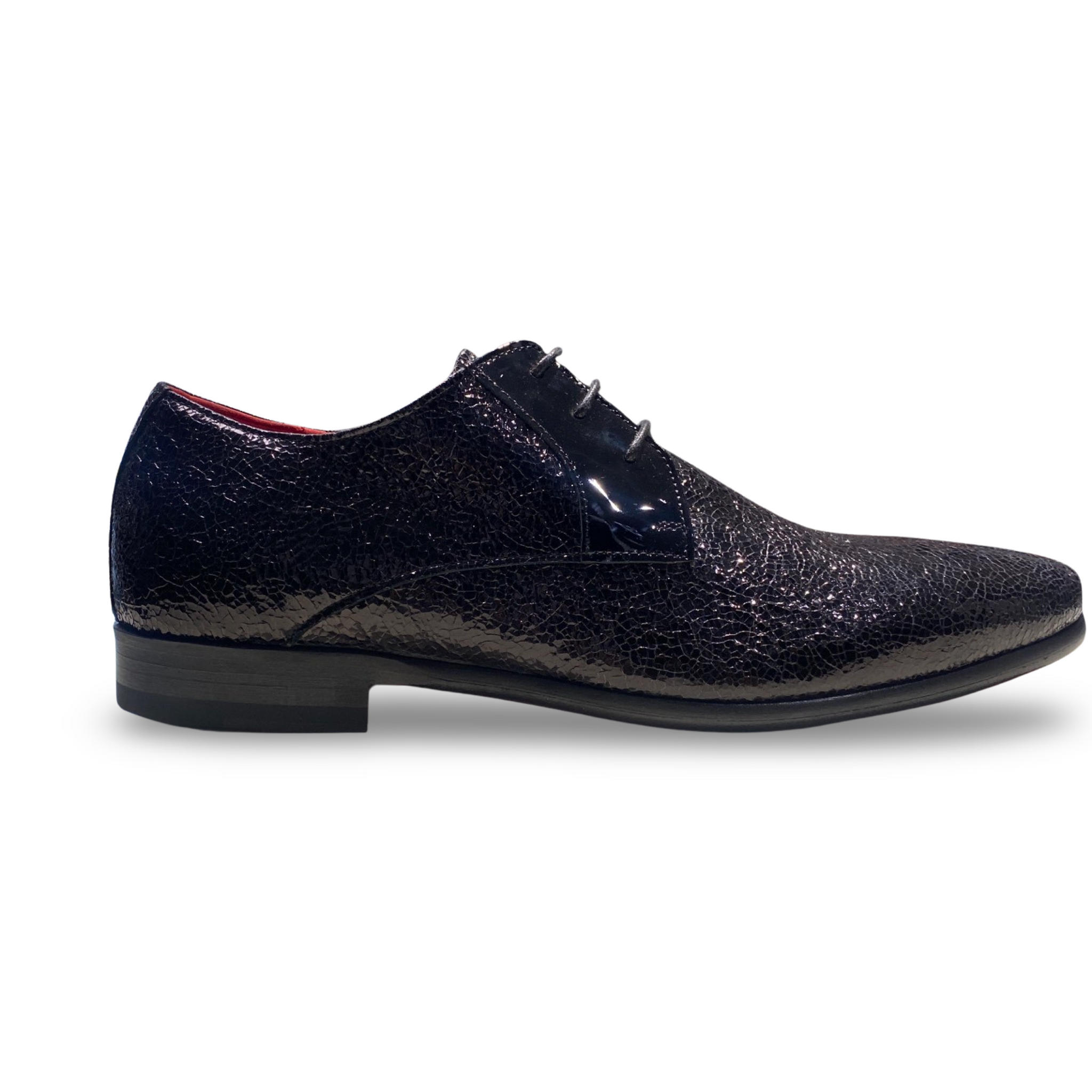 Dino Black Printed Calf - OK